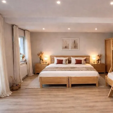 Haus Der Alten Baeume - Retreathaus 希勒斯海姆
